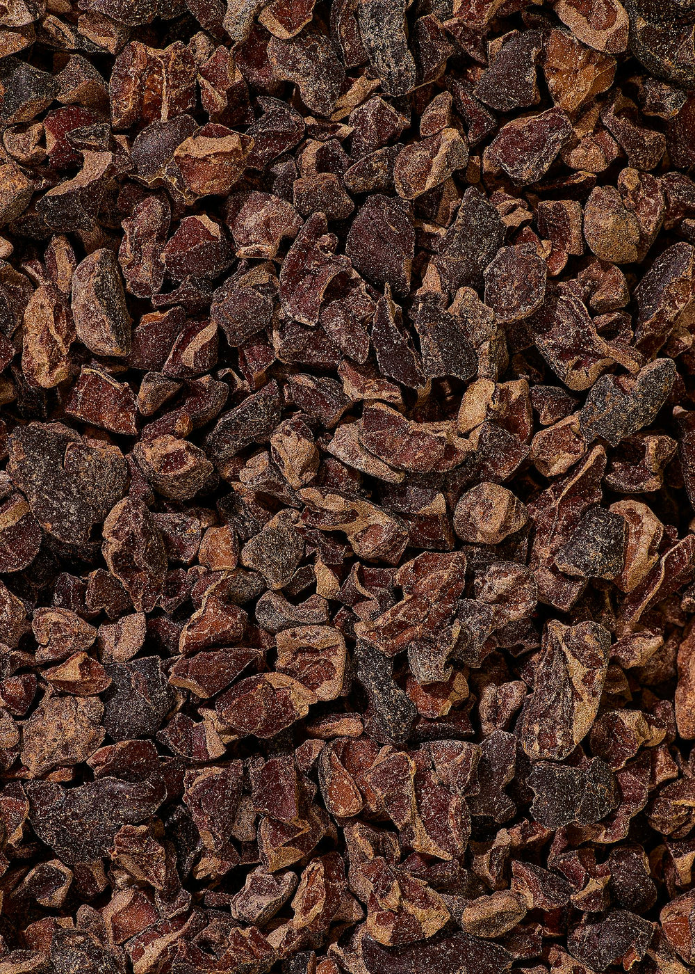 KoRo Bio Kakaonibs | 1 kg - fitgrade.ch