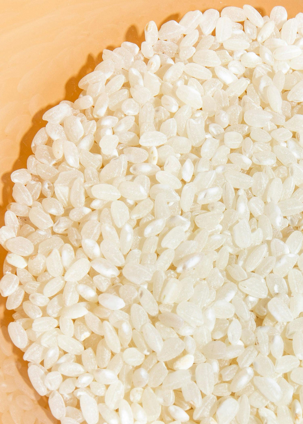KoRo Bio Milchreis | 5 kg - fitgrade.ch