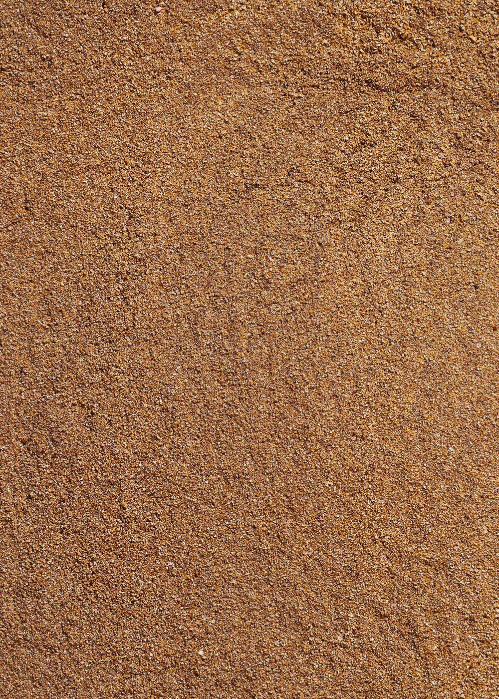 KoRo Trüffelpulver Gewürz | 45g - fitgrade.ch