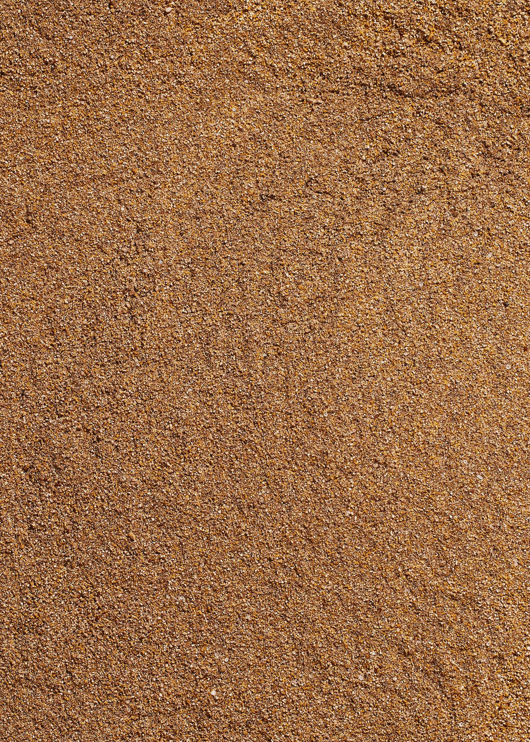 KoRo Trüffelpulver Gewürz | 45g - fitgrade.ch